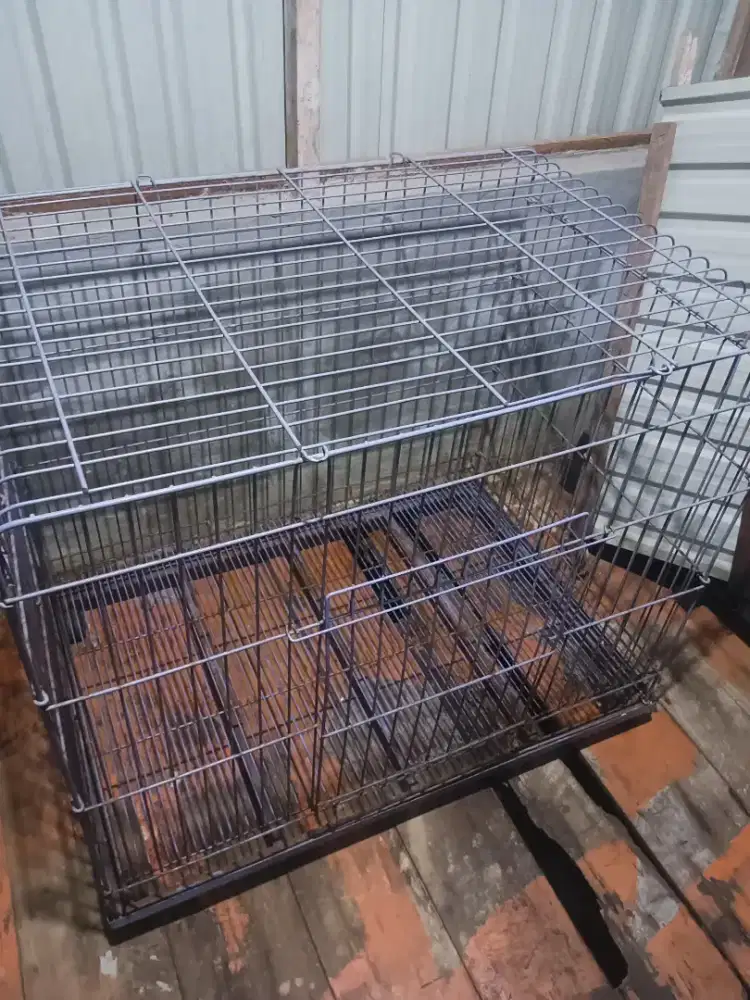 kandang kucing besar