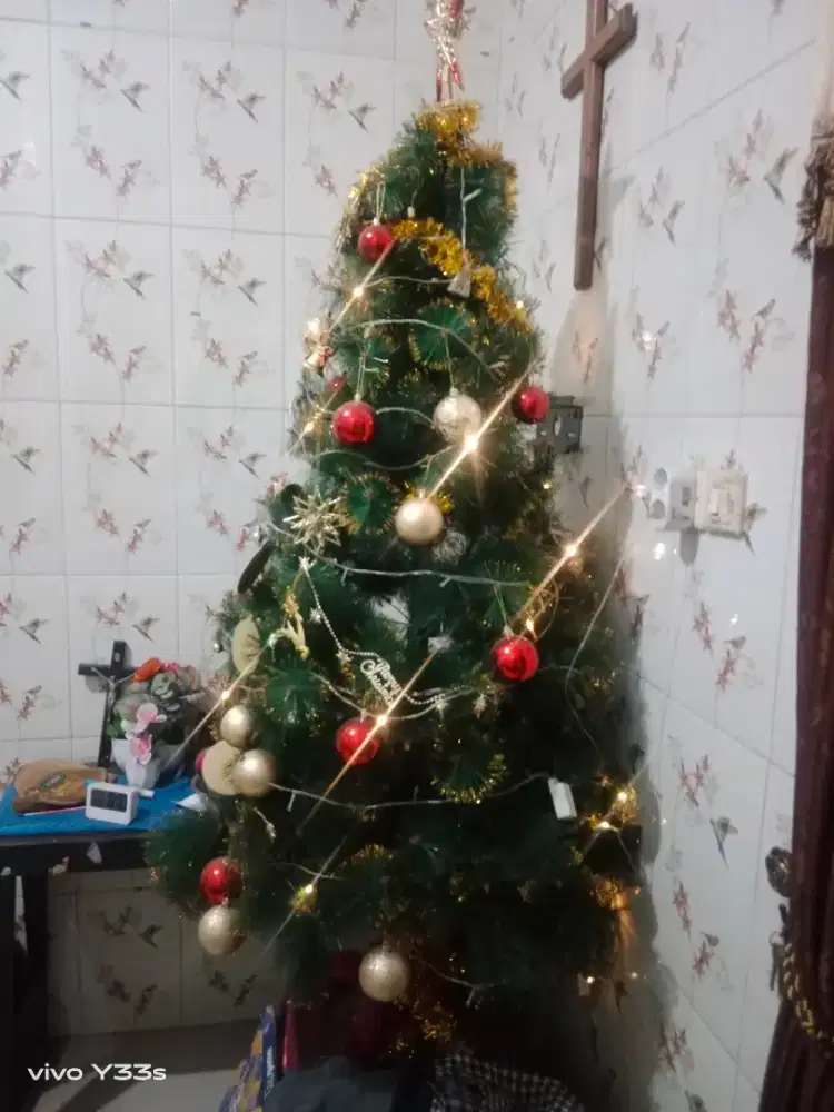 Dijual pohon Natal