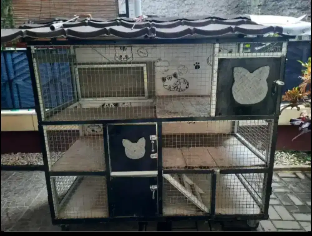 Kandang kucing tingkat