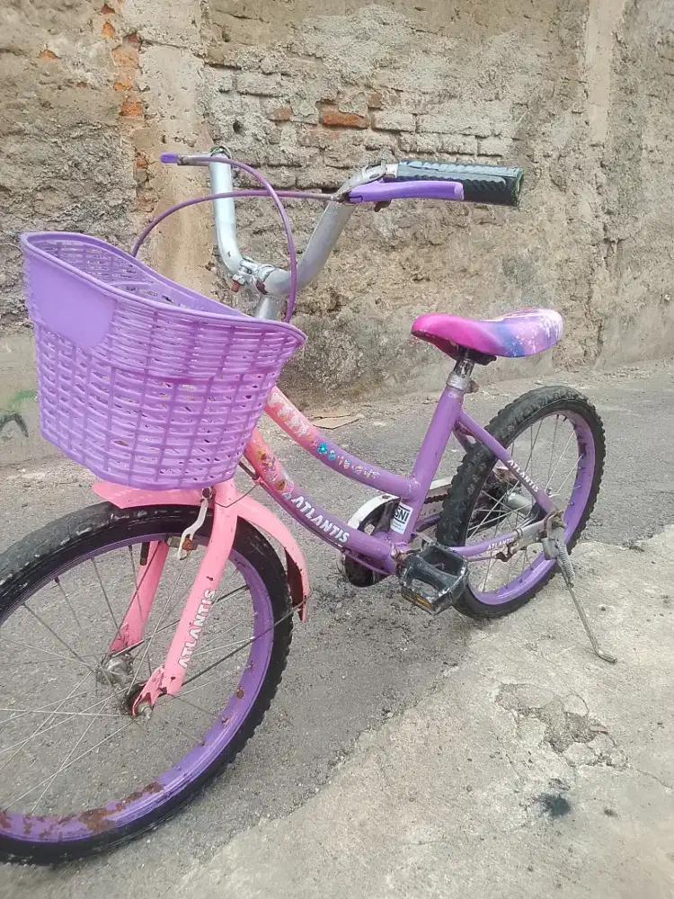 Sepeda Anak Cewek R16 Pink Keranjang