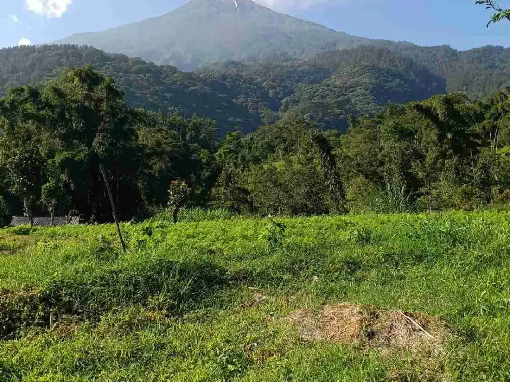 DI JUAL TANAH PACET VIEW GUNUNG MURAH B.U PACET