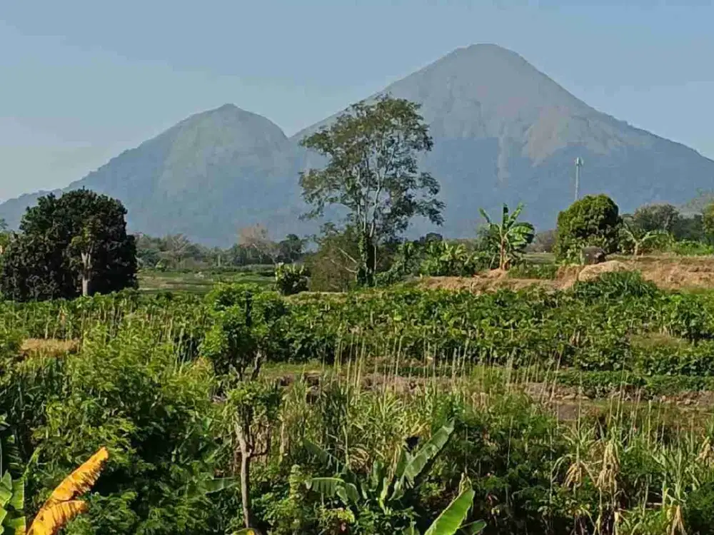 Di jual tanah murah pacet b.u view gunung