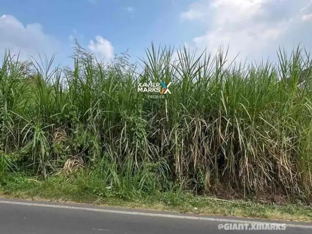 Tanah siap bangun dekat exit tol di lesanpuro kedungkandang Malang