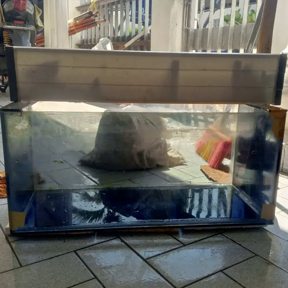 Aquarium ikan ikan