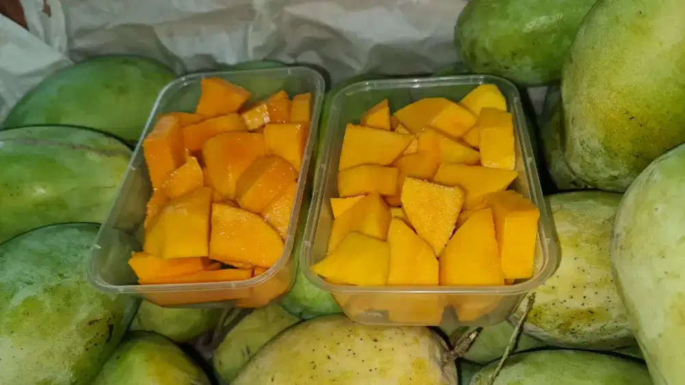 MANGGA BUNIRAJA