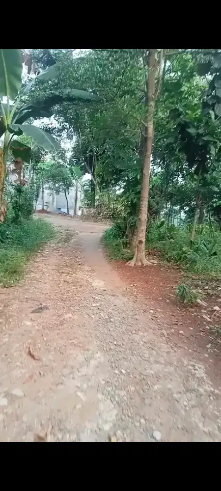 DIJUAL TANAH MURAH BELAKANG PASAR PARUNG CISEENG DEKAT SERPONG