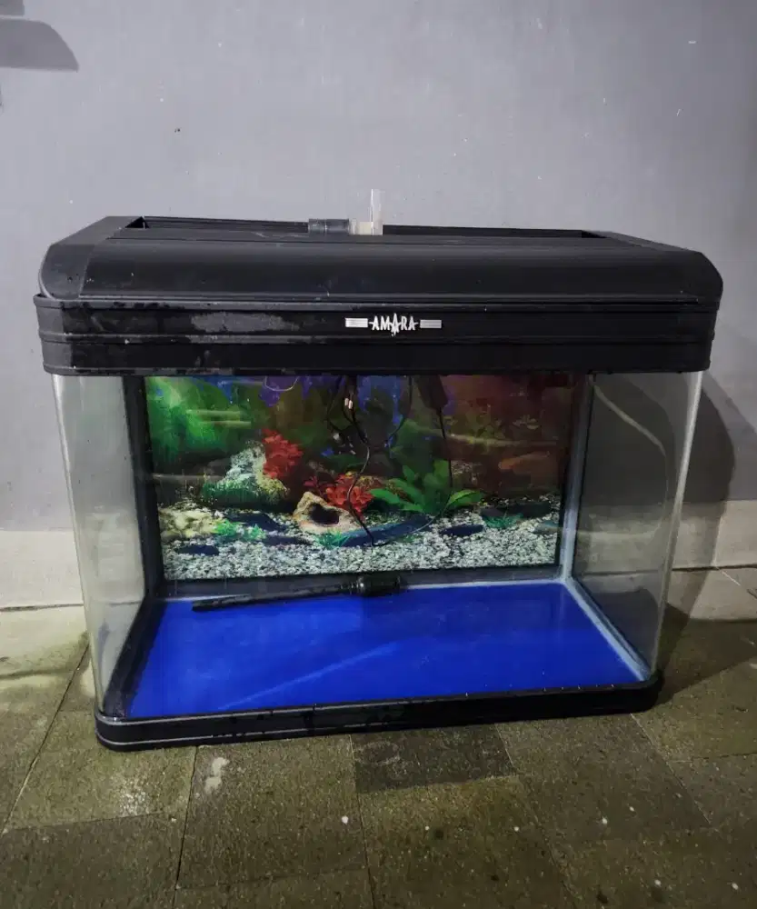 Aquarium set premium merk AMARA