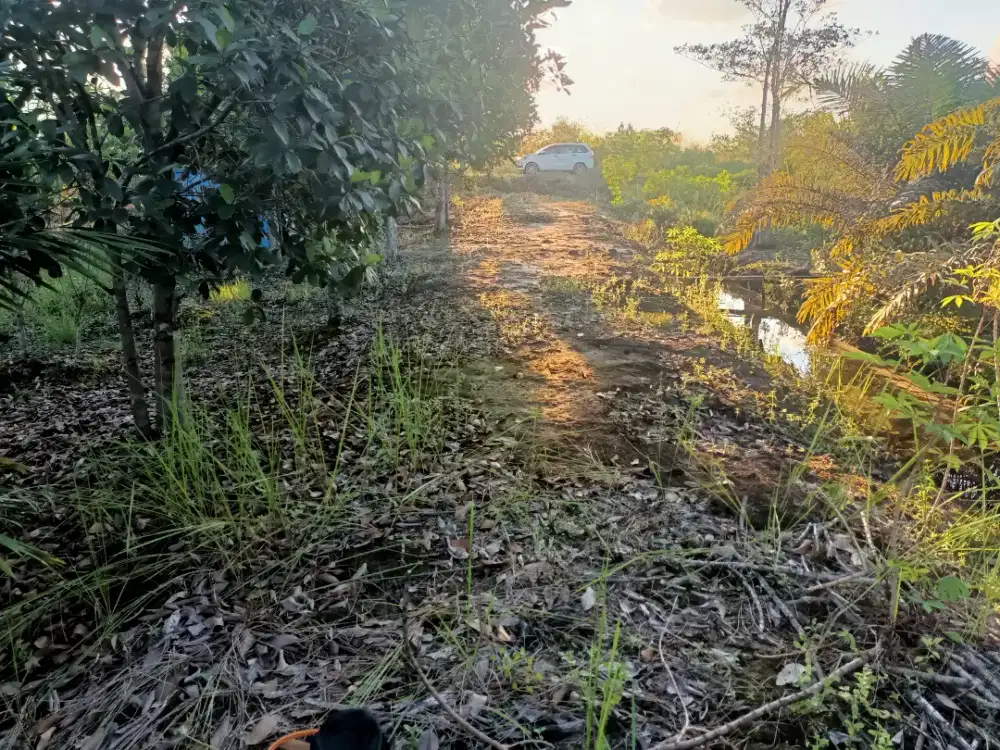 Di Jual tanah Kaplingan