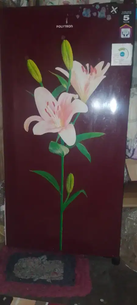 Kulkas Polytron 1 pintu
