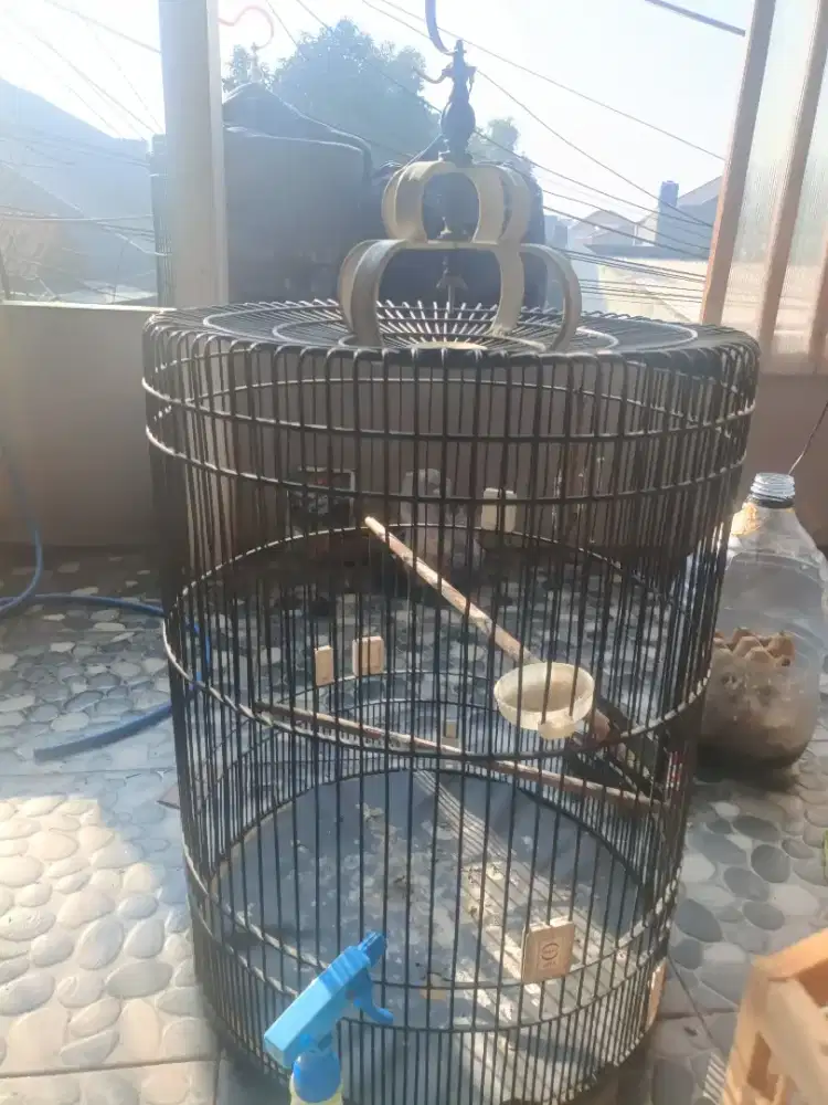 sangkar burung bekas