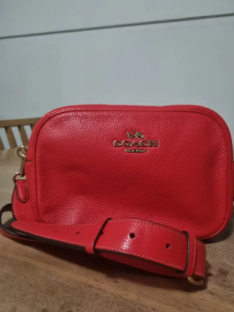Coach camera bag