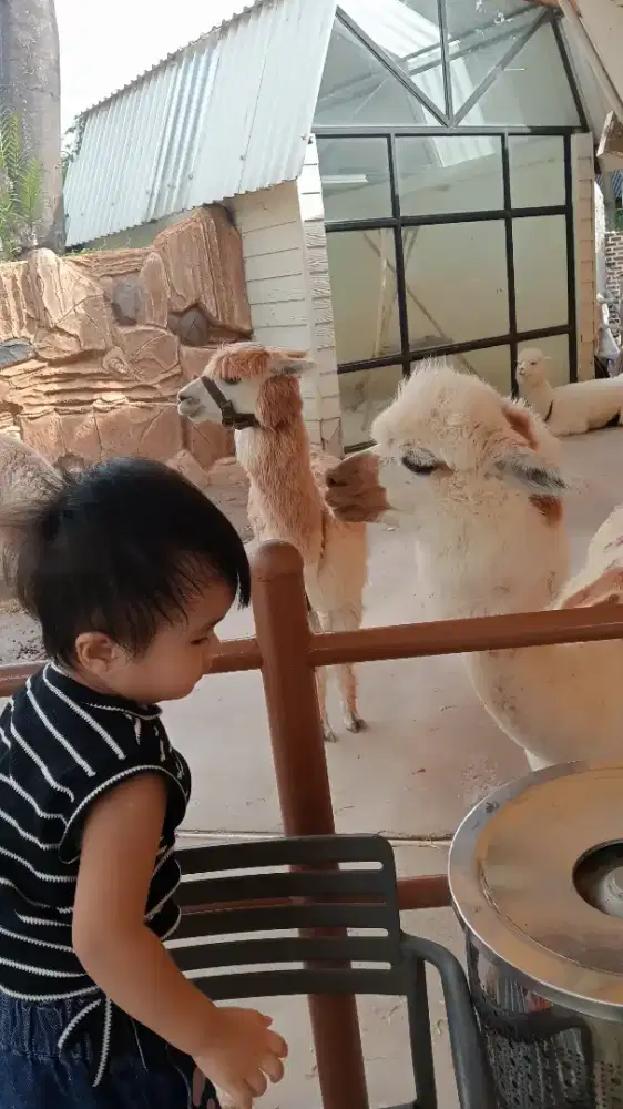 Jasa momong anak/ penitipan anak
