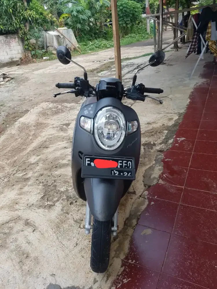Scoopy 2019 CBS