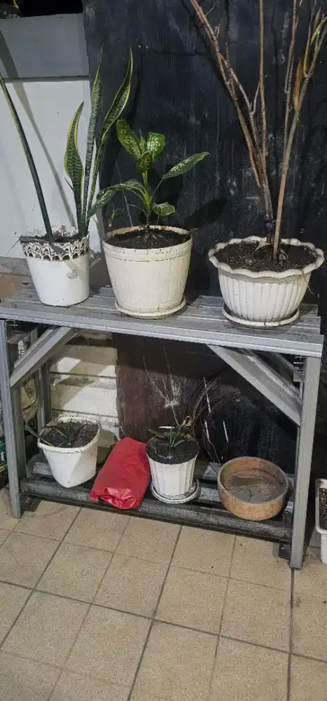 Rak pot tanaman