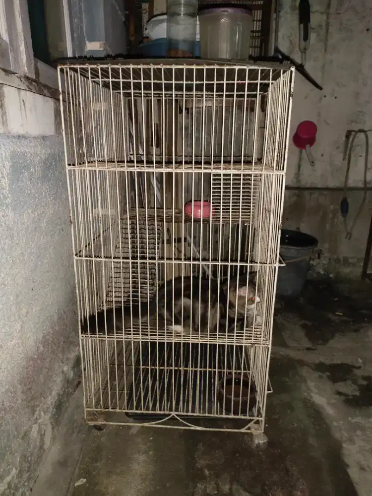 Dijual kandang kucing tingkat tiga