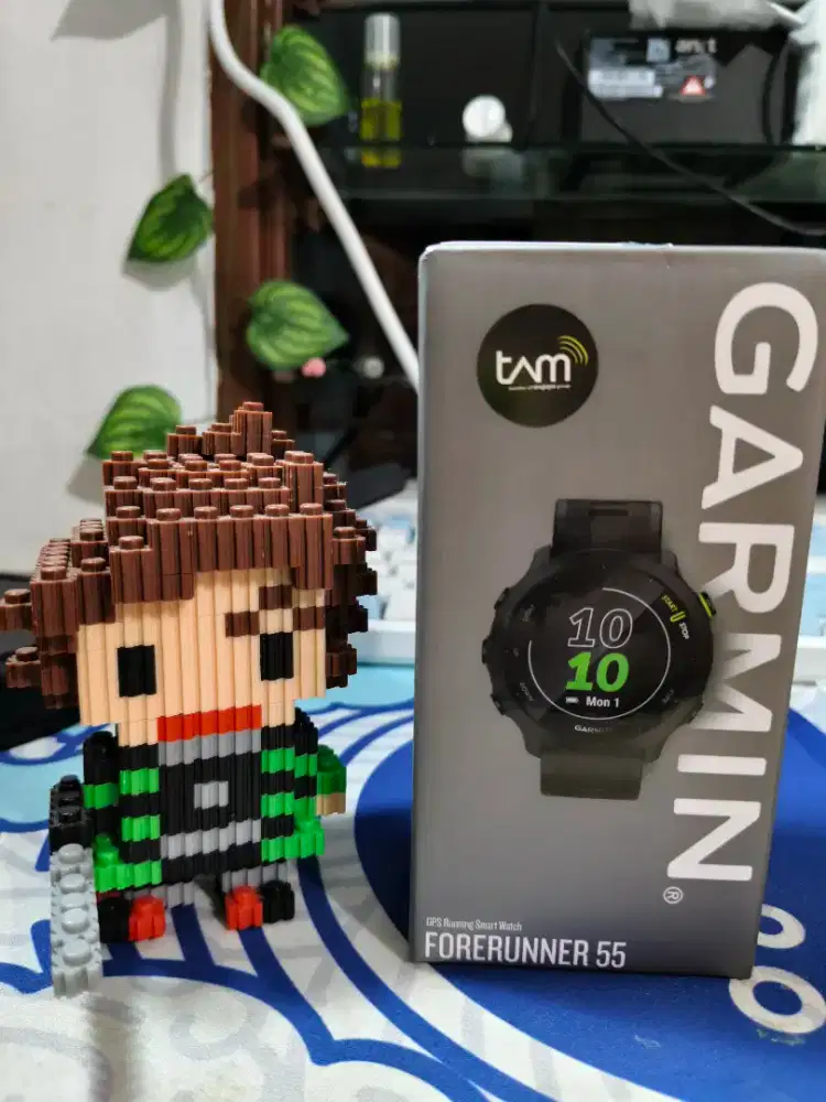 Garmin Forerunner 55