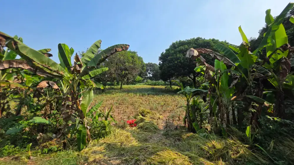 DIJUAL LAHAN KOSONG SHM 1.092 m² - Siap Bangun (TANPA PERANTARA)