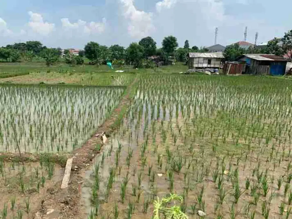 Tanah Luas Jalan Lebar Siap bangun Bisnis Baru diHarapa  Jay Kota Bekasi