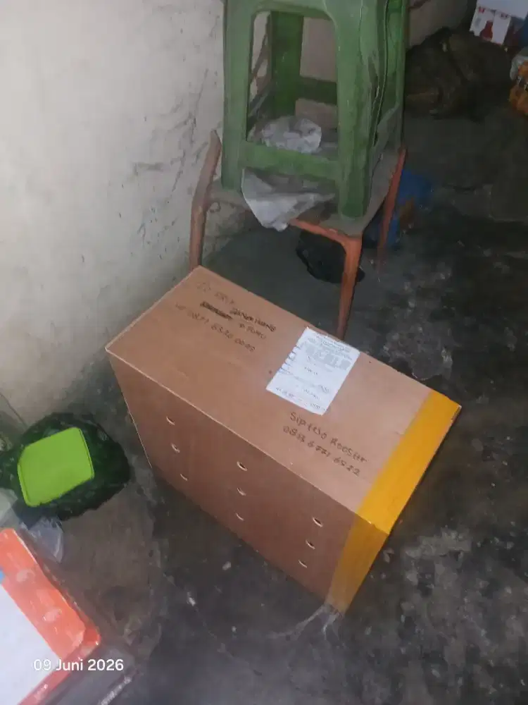 Jasa transit jemput  atau kirim Hewan.