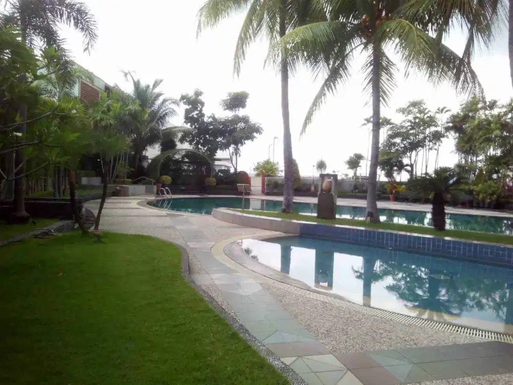 SEWA KONDOMINIUM SHERATON TUNJUNGAN PLASA SURABAYA