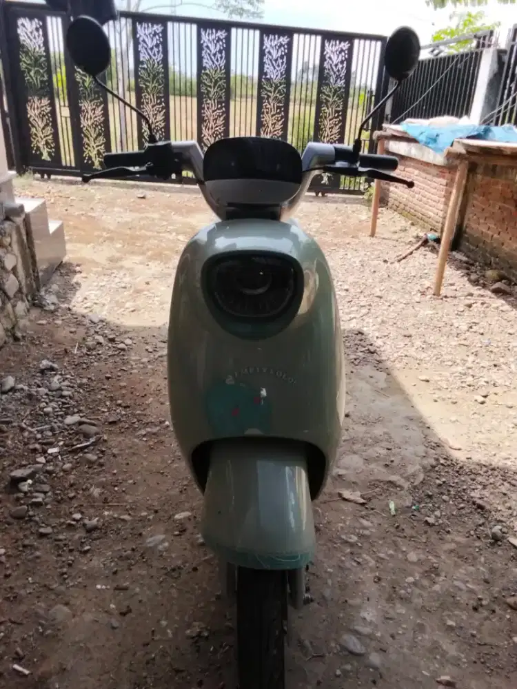 Bu cepat sepeda listrik selis uwinfly 48v 800km