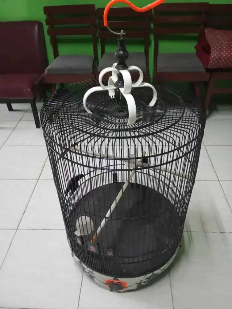 kandang burung murai rafi no 2 full set kerodong