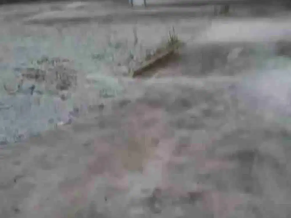 Di Sewakan Lahan ada Gudang Kecilnya Dekat Area Pulo Gadung
Akses Container