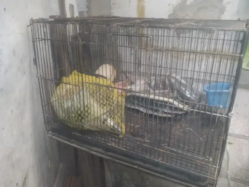 kandang besi kondisi 90% baik