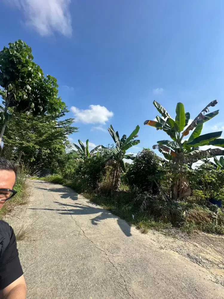 Dijual tanah dan barak rumah, kebun sudah ada listrik sumur bor.