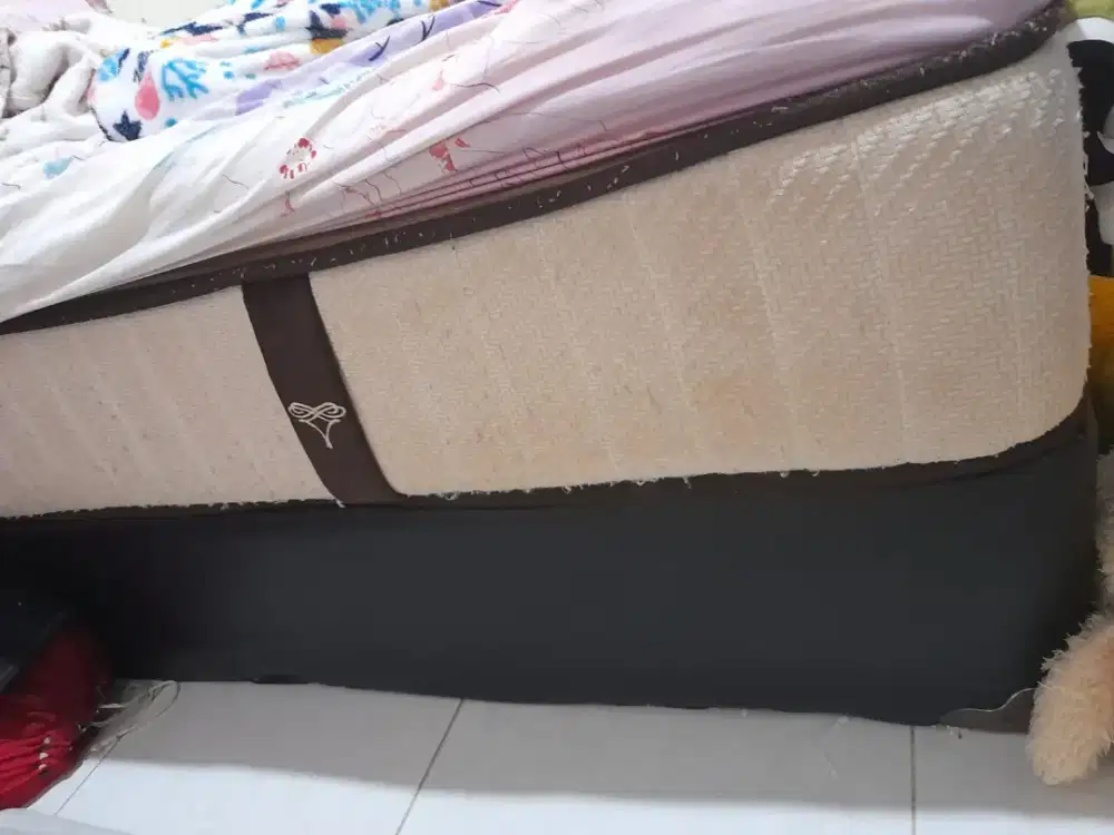 kasur spinno LATEX asli spring bed spinno ukuran 2 meter spring besar