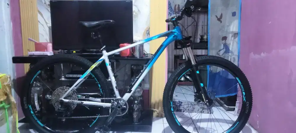 Jual sepeda Polygon xtrada 6 le