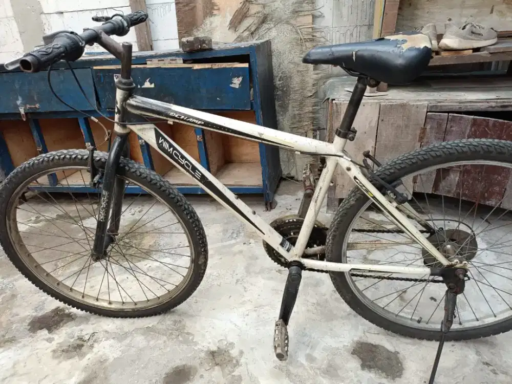 Sepeda gunung wim cycle