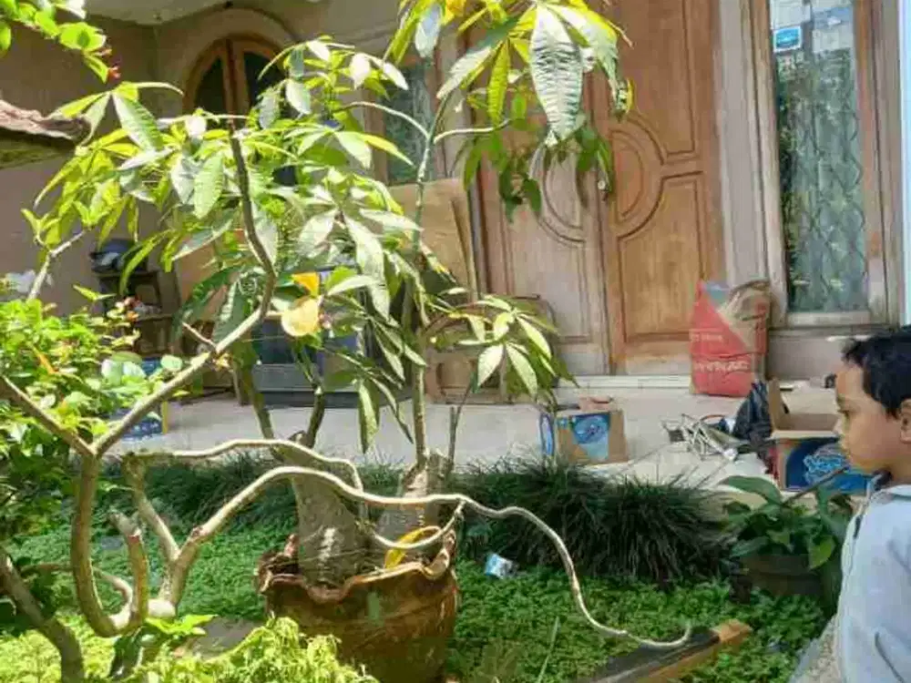 Dijual Rumah Posisi Hook Lahan 200 Meter Di Yasmin Kota Bogor Akses Tol