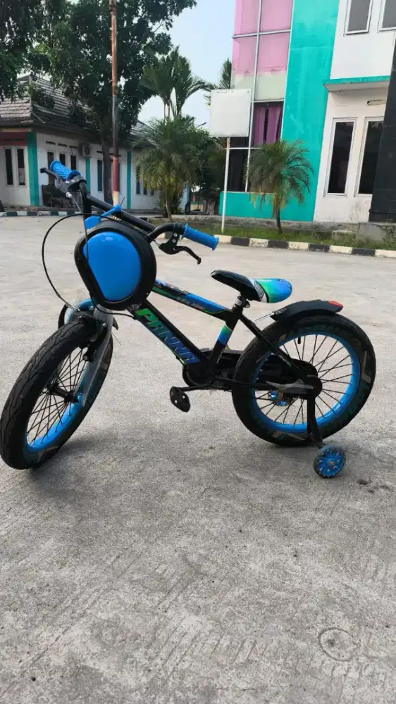 Jual sepeda anak laki laki