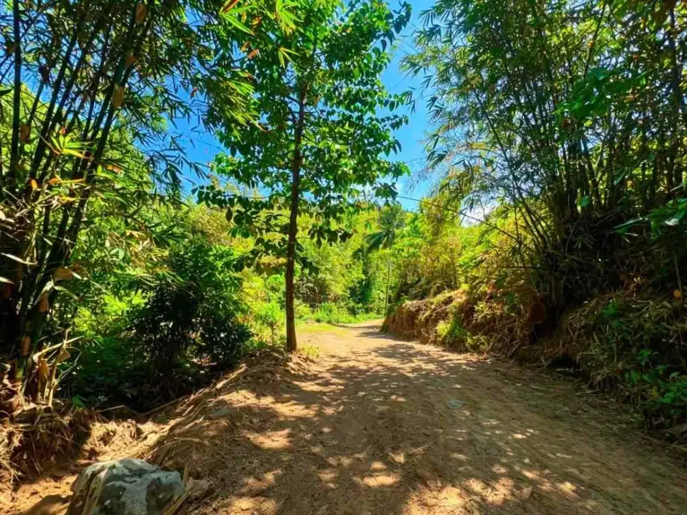 Tanah Asri Dekat Pantai Tampah & Pantai Lancing Lombok – Cocok untuk Villa & Investasi