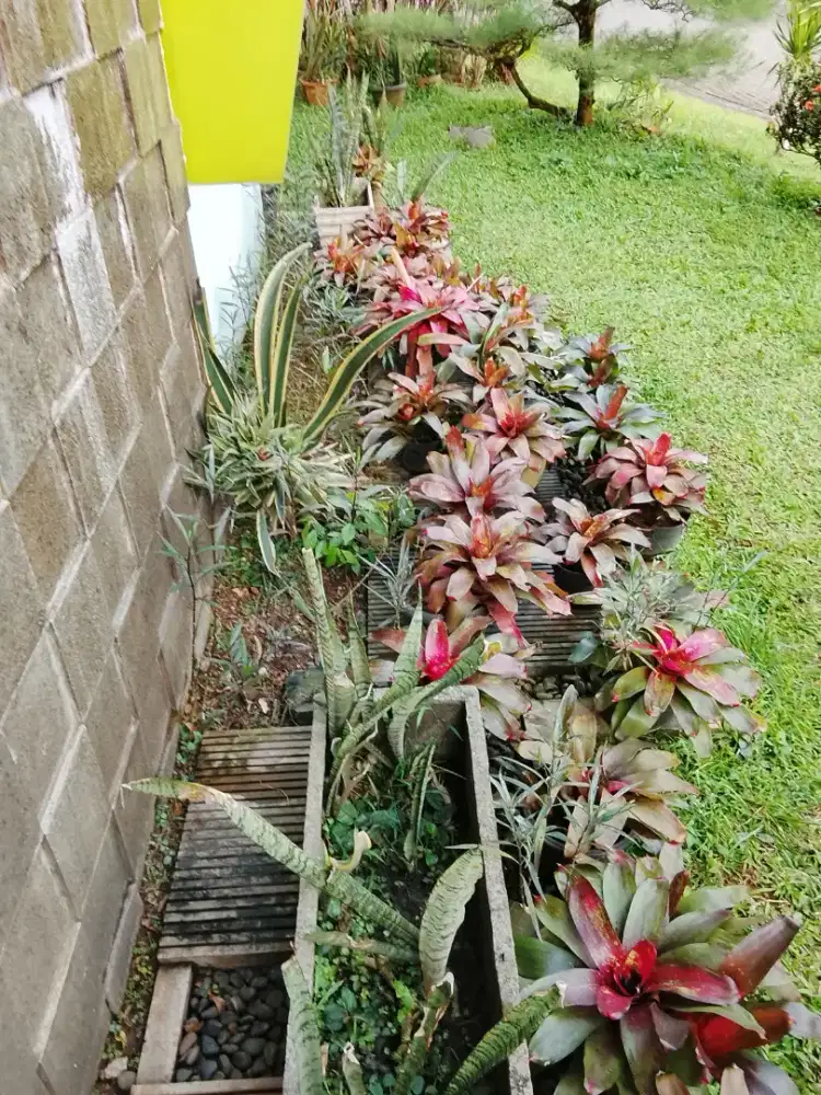 Lowongan ART Siap Kerja