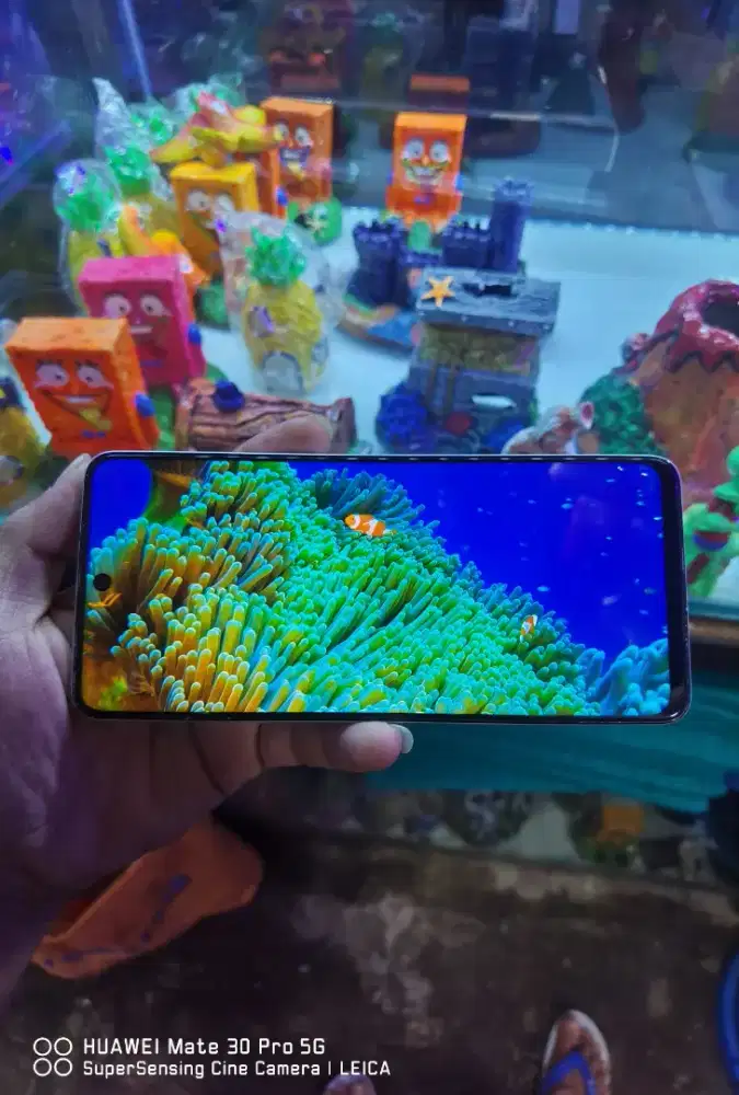 Tecno Camon 19 Pro Ram 8gb