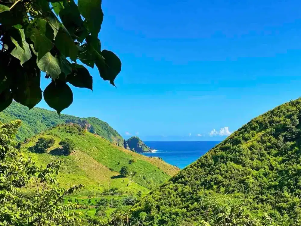 Tanah SHM 8.040 m² Dekat Pantai Mawun Lombok – 500m ke Pantai, Cocok Villa & Investasi!
