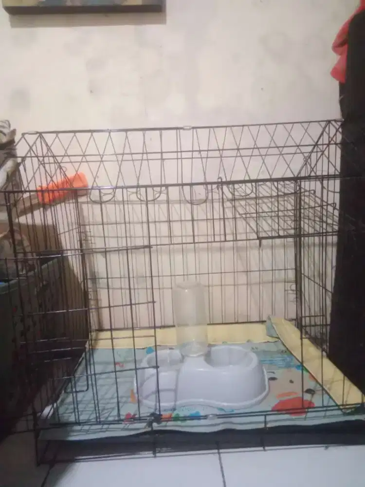 Jual cepat Kandang kucing