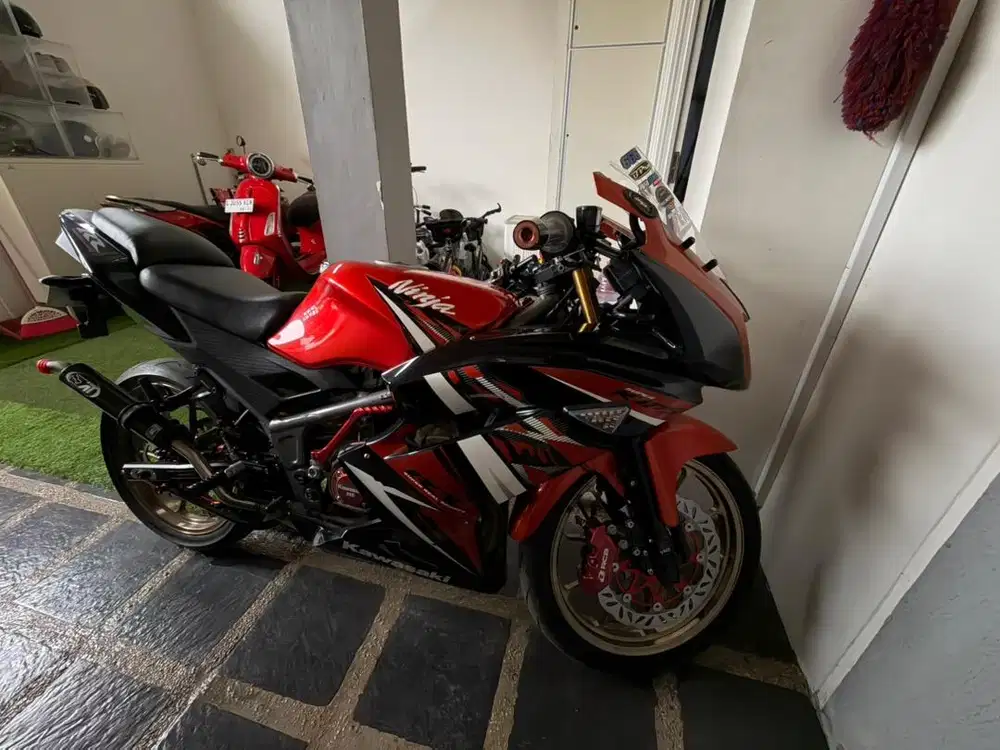 Kawasaki Ninja RR New 2014