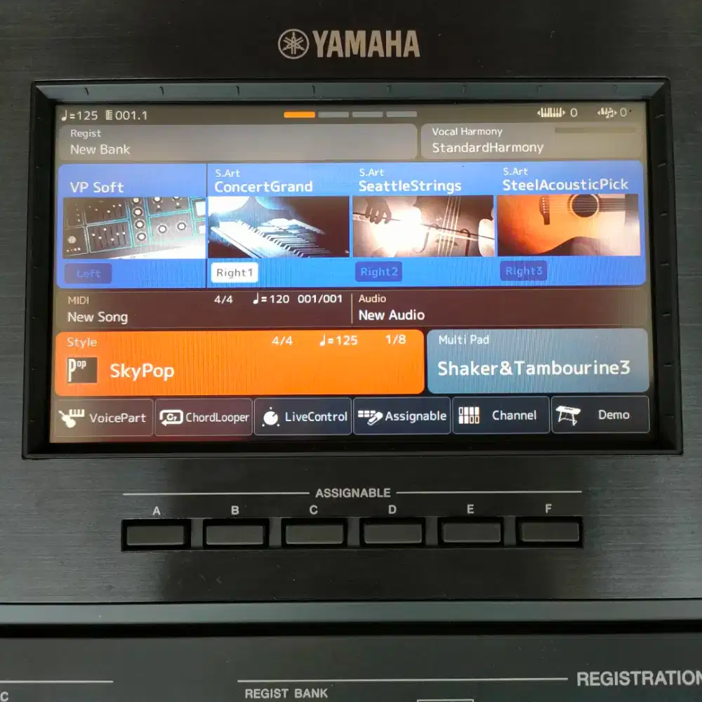 Istimewa Keyboard Yamaha PSR SX900 Barang Rumahan