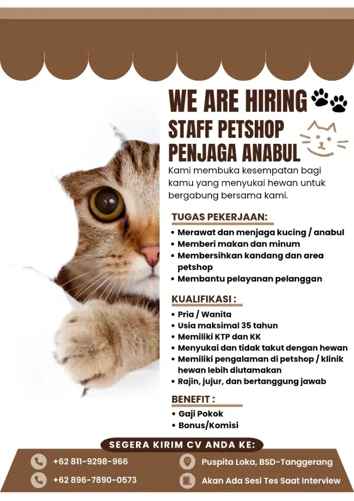 Dibutuhkan Host Live