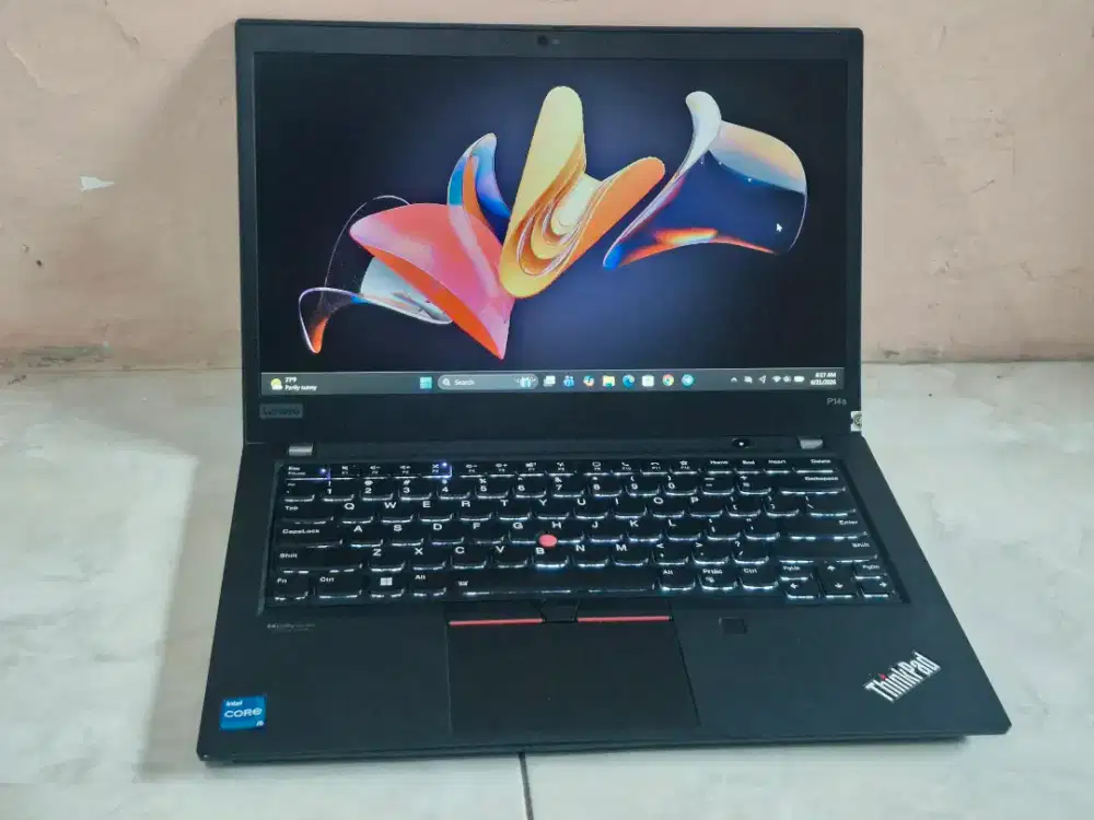 Thinkpad P14s gen2. Dual VGA NVIDIA T500