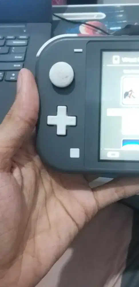 NINTENDO SWITCH LITE