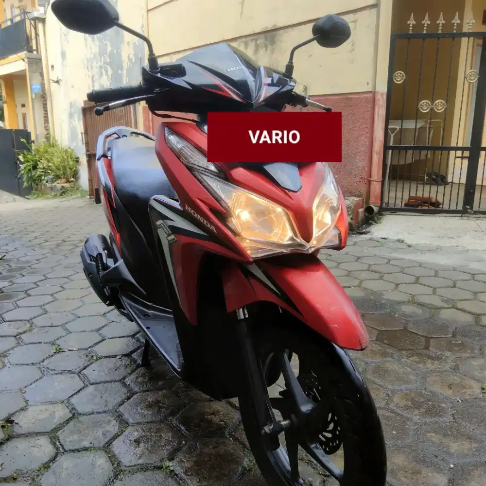VARIO TECHNO 2013