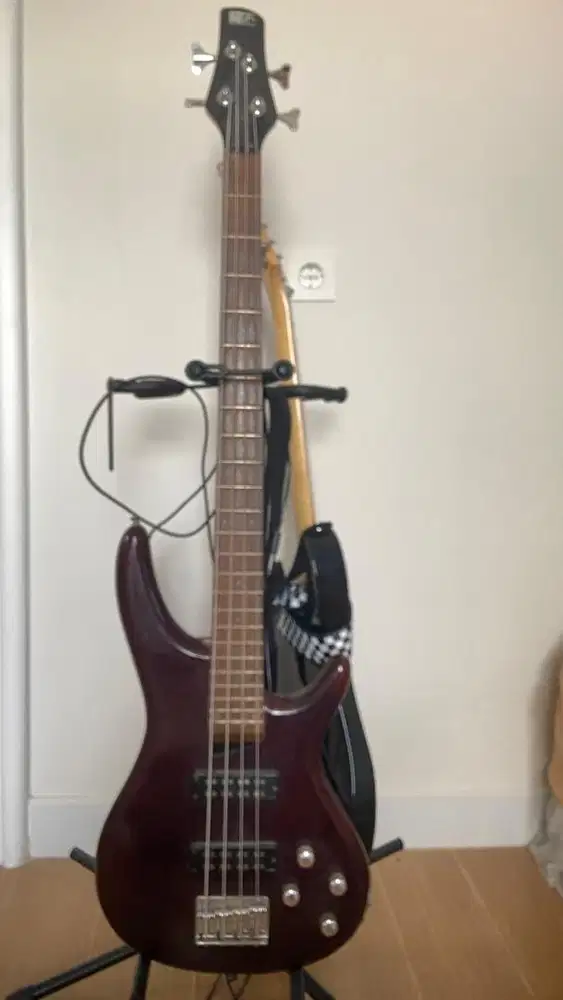 Bass Ibanez soundgrat (custome)