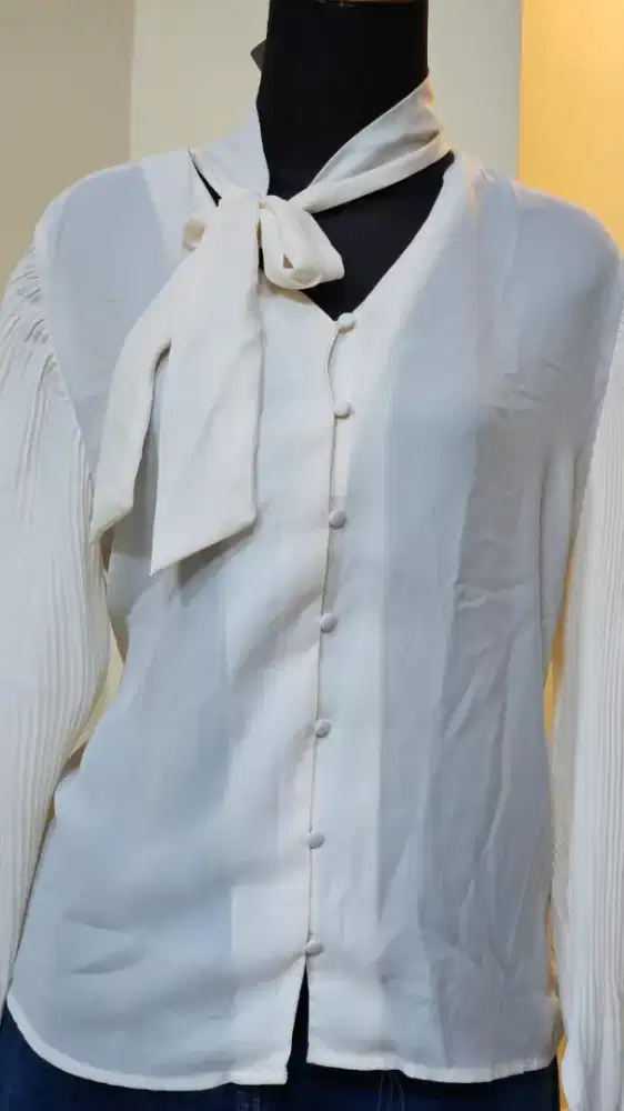 blus with pilated sleeves