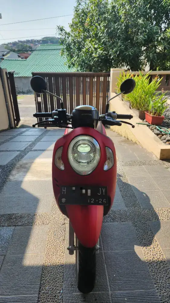 Scoopy stylish 2021