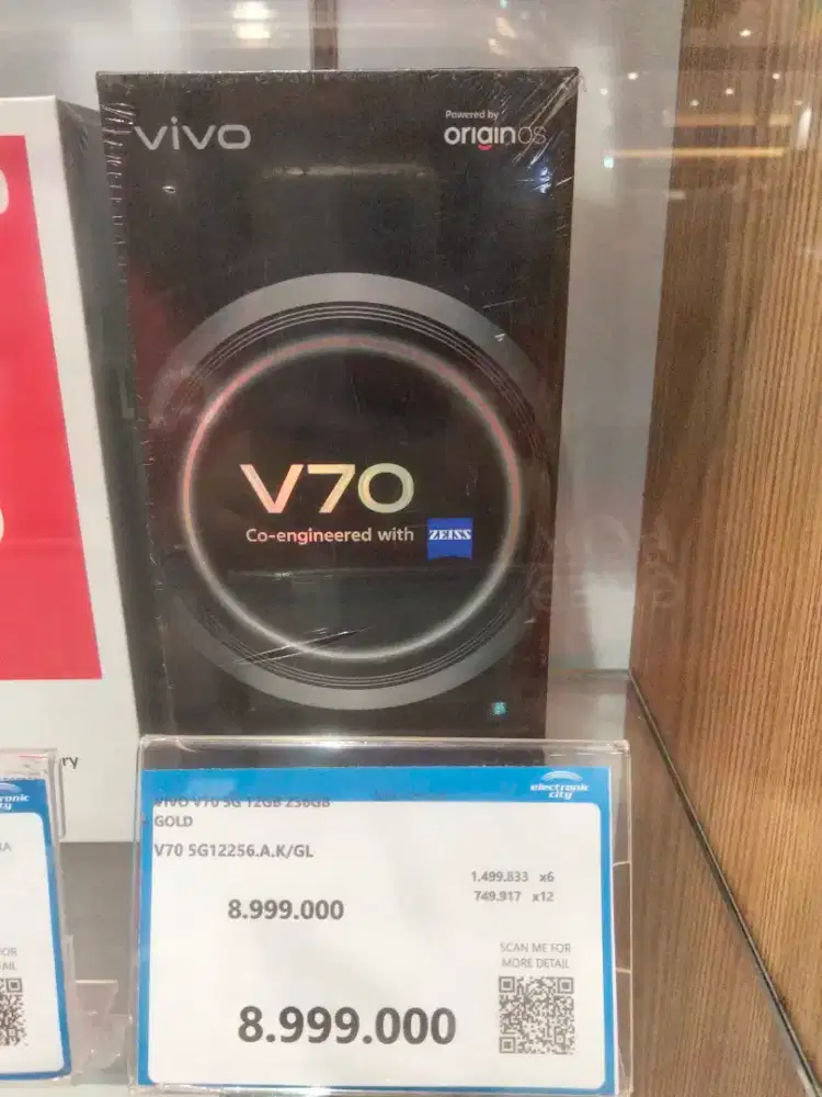 VIVO V70 5G 12/256