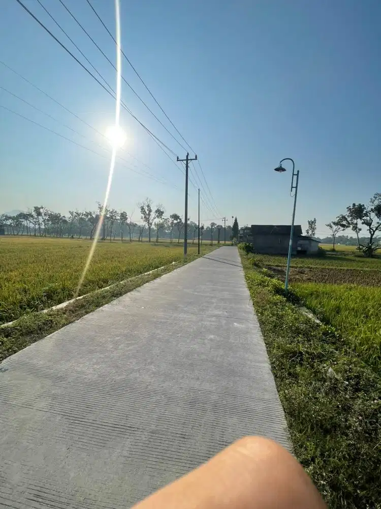 JUAL SAWAH PINGIR JALAN